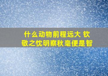 什么动物前程远大 钦敬之忱明察秋毫便是智